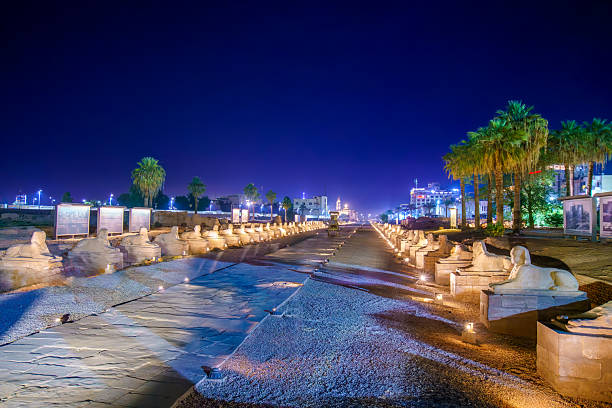 istock Sphinx Avenue at Luxor Temple Egypt Illuminated at Night with Palm Trees. 2243008260