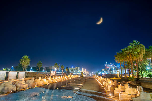 The Illuminated Avenue of Sphinxes and Ancient Columns Luxor Egypt at Night.