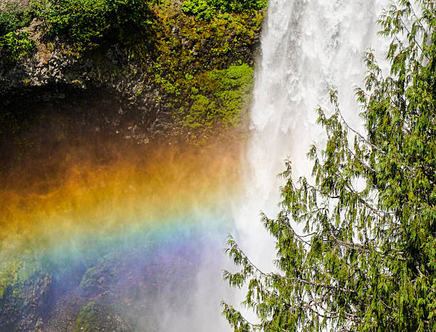A vivid rainbow forms in the mist of a powerful mountain waterfall, surrounded by lush green forest.