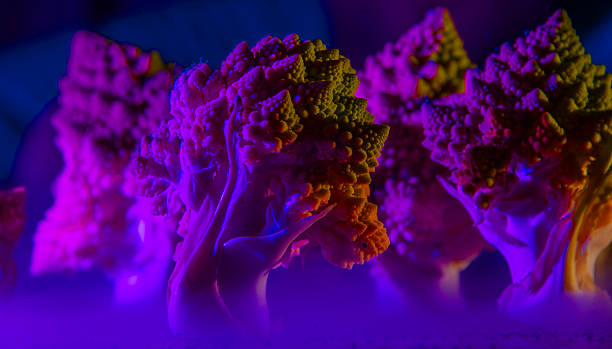 istock surreal night forest of broccoli 2243011067