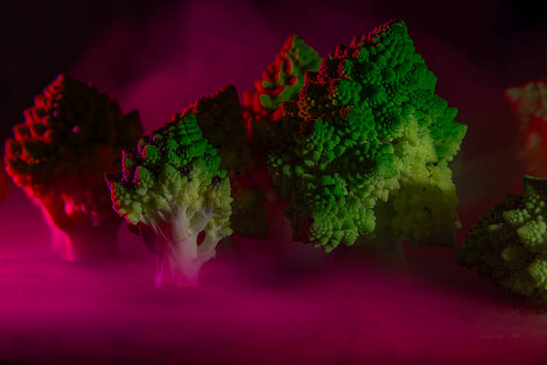 surreal night forest of broccoli