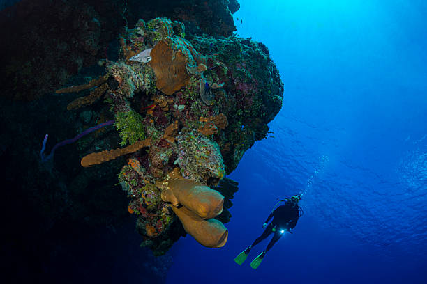 istock The Caribbean coral reefs and a scuba diver 2243016982