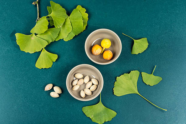 Healing herbal remedy using ginkgo biloba seeds and leaves. Top view.