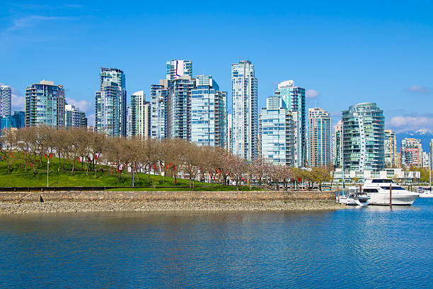 istock Vancouver skyline from Charleson Park in BC, Canada 2243019801