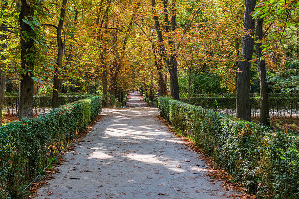 Autumn, forest, El Retiro Park, Madrid, Spain, Europe