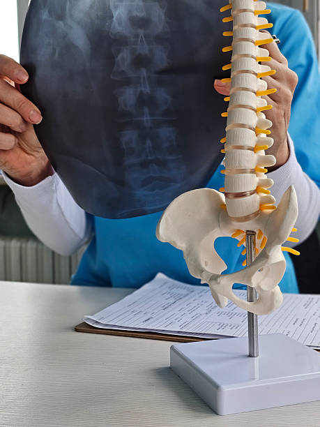 istock Medical professional examining an X-ray while discussing spine model 2243026291