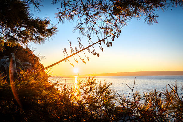 A lone fisherman in a small boat enjoys the serene beauty of a coastal sunrise, with the sun casting a golden glow over the calm sea and silhouetting the distant hills.