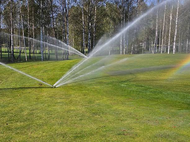 istock Sprinklers watering a lush green lawn with sunlight creating a rainbow 2243026780