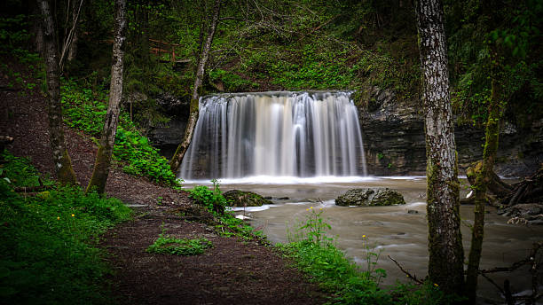 istock A serene waterfall cascades through a lush green forest. 2243027049