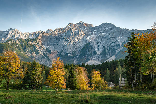 istock Autumn trees in front of majestic mountains under a clear sky. 2243027169