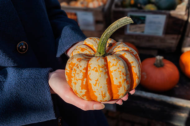 istock Girl holding mini pumpkin in hands 2243027177