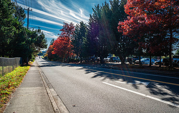 Autumn colors along a street in Burien, Washington.