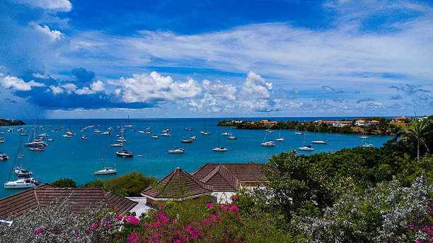 istock The View at Prickley Bay 2243034198