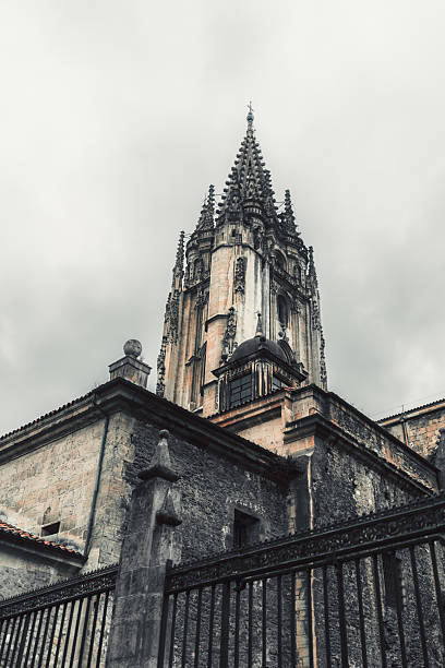 Illuminated Gothic tower and facade of Oviedo Cathedral (San Salvador Cathedral) at night, standing on the main square (Asturias, Spain).