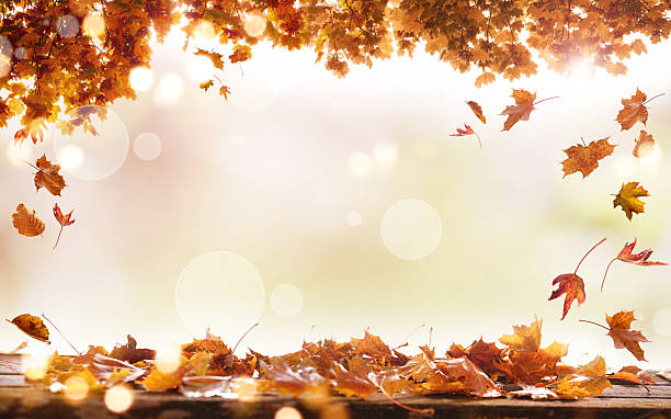istock Autumn leaves falling on a wooden table 2243035451