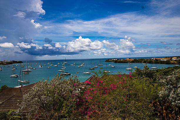 istock The Beautiful Prickley Bay 2243037338