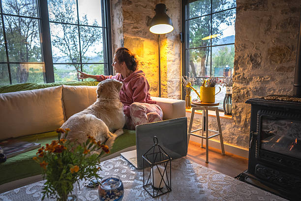 istock Woman cares her dog while sitting on a couch by the window 2243038206