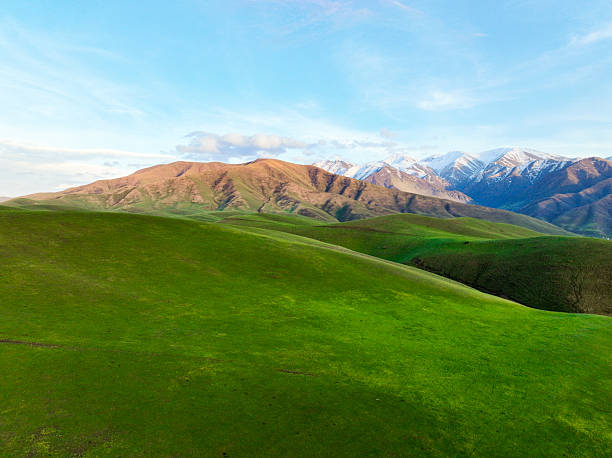 istock Lush Green Rolling Hills and Snowy Mountains at Sunset 2243040293