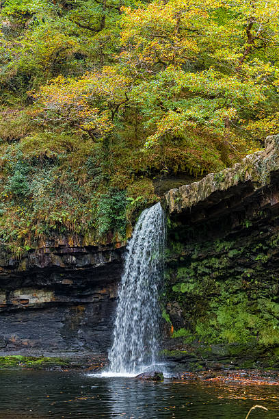 istock Autumn Foliage at a Welsh Waterfall 2243040569