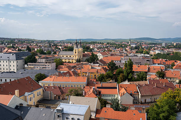 istock Eger city view with churches and red rooftops 2243041151