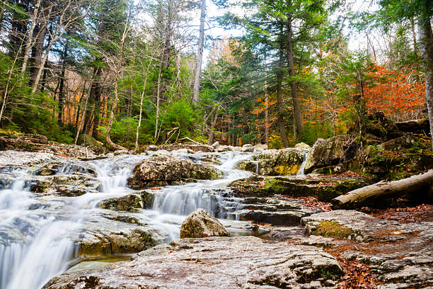 This is a landscape photograph of a waterfall flowing over rocks in the forest along the Gill Brook Stream in the Adirondack Mountains State Park in Keene Valley, New York.