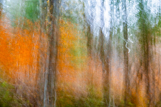 This is an abstract motion blurred photograph of orange colored autumn leaves in the Adirondack Mountains in New York on an October day.