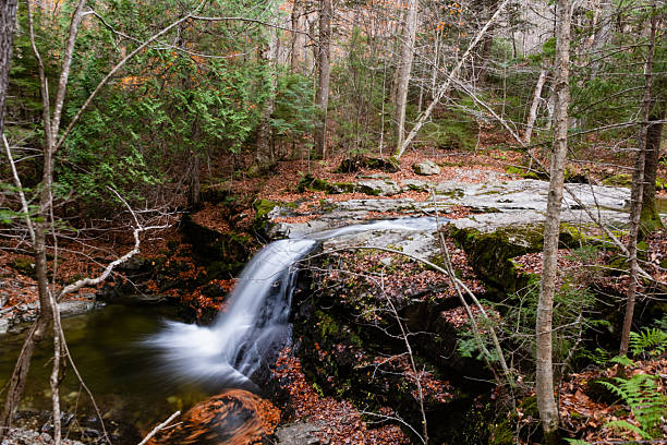 This is a landscape photograph of a waterfall flowing over rocks in the forest along the Gill Brook Stream in the Adirondack Mountains State Park in Keene Valley, New York.
