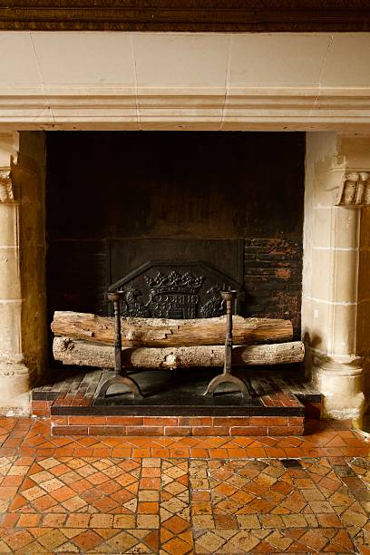 istock Log burning fireplace with fire wood 2243061617