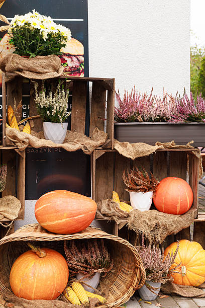 istock Autumn harvest decor with pumpkins and heather flowers 2243066603
