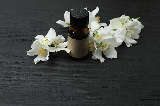 istock Jasmine flowers, tea, essential oils with space for text 2243075695