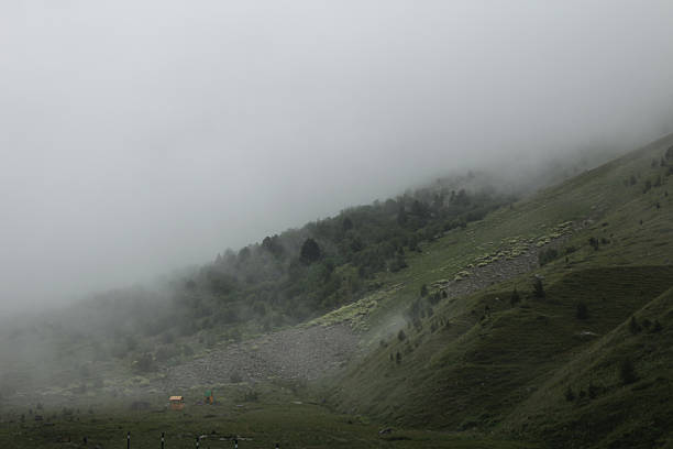 Gorge in the Caucasus Mountains