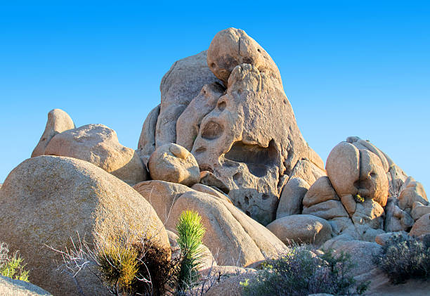 Joshua Tree National Park California