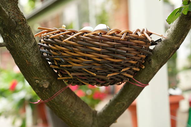 Rattan artificial bird's nest on the branch of tree in a garden