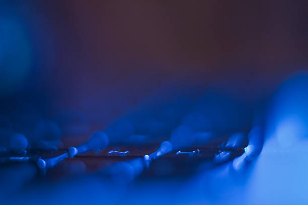 close up of keyboard with blue light.