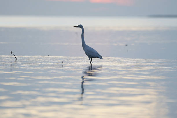 istock Islamorada in the Florida Keys 2243084843