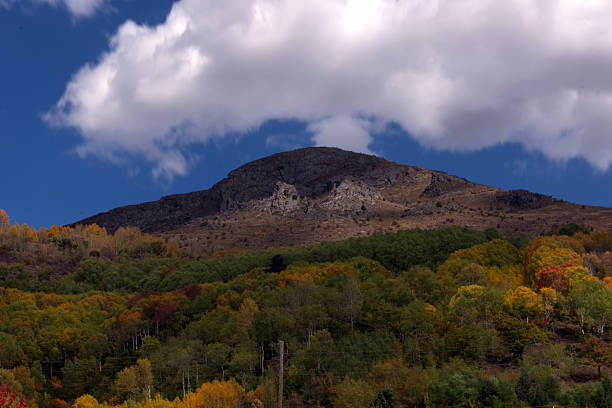 Captured in high resolution, showcasing the beauty of nature’s seasonal transition in the mountains.