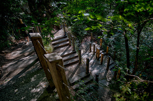 Lake Bled, Slovenia – July 22, 2025: Stone staircase winding through the the path leading up the hill to Bled Castle overlooking Lake Bled.