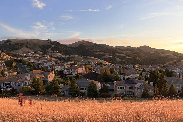 Soft light at sunset makes the summer grass glow golden