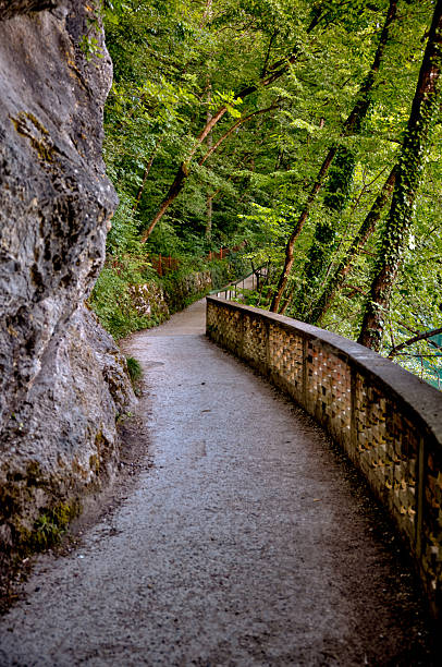 istock Boardwalks and pathways along the perimeter of Lake Bled 2243088466