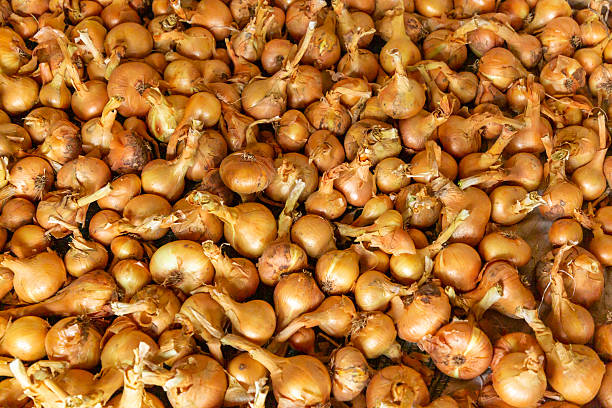 Photo of a pile of fresh shallots neatly arranged in a wooden box at a traditional market.