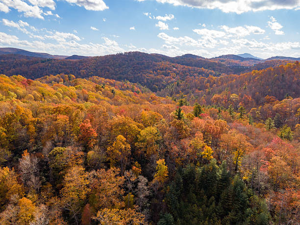 istock Vibrant Fall Foliage Surrounds Appalachian State University Campus and Downtown Boone, North Carolina 2243104117