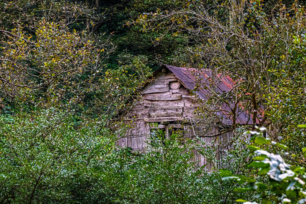 istock a wooden mountain hut on the plateau 2243111709