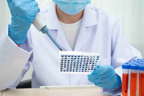 istock Scientist with cell culture in sample micro plate for research in science laboratory. 2243121095