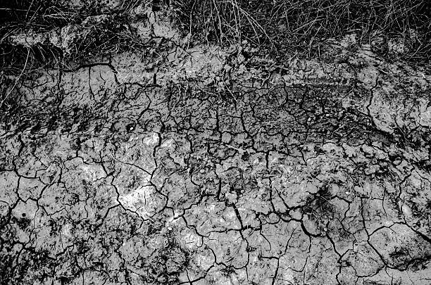 Detailed close-up shot of severely cracked dry earth, rendered in dramatic black and white. The surface shows deep, irregular fissures, indicating extreme drought and arid conditions. Ideal abstract texture or background for environmental themes.