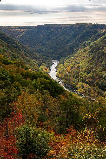 istock New river bridge national park 2243125349