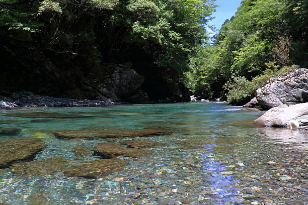 istock Summer swimming in the Asemi River (Motoyama Town, Kochi Prefecture) 2243126238