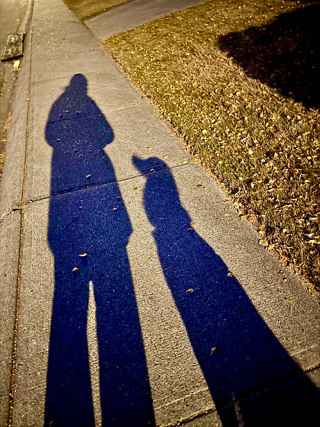 istock Person and Their Dog Shadow 2243130289