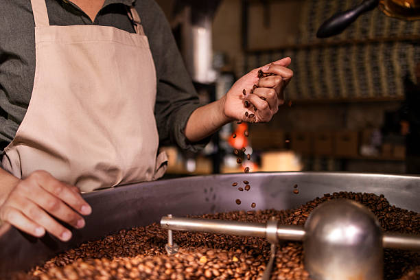 istock Hand Sorting Fresh Roasted Coffee Beans in a Large Batch Roaster at a Busy Coffee Shop 2243130942
