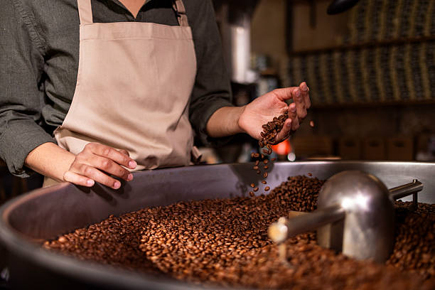 Close-up of a person in a beige apron tossing roasted coffee beans from a large metal drum, capturing the craft, aroma, and care of small-batch coffee roasting