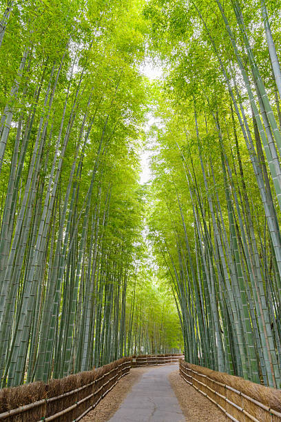 istock 